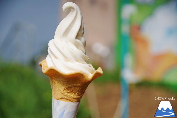 オーンズ春香山ゆり園 今年も綺麗な『ゆり』のシーズン到来♪